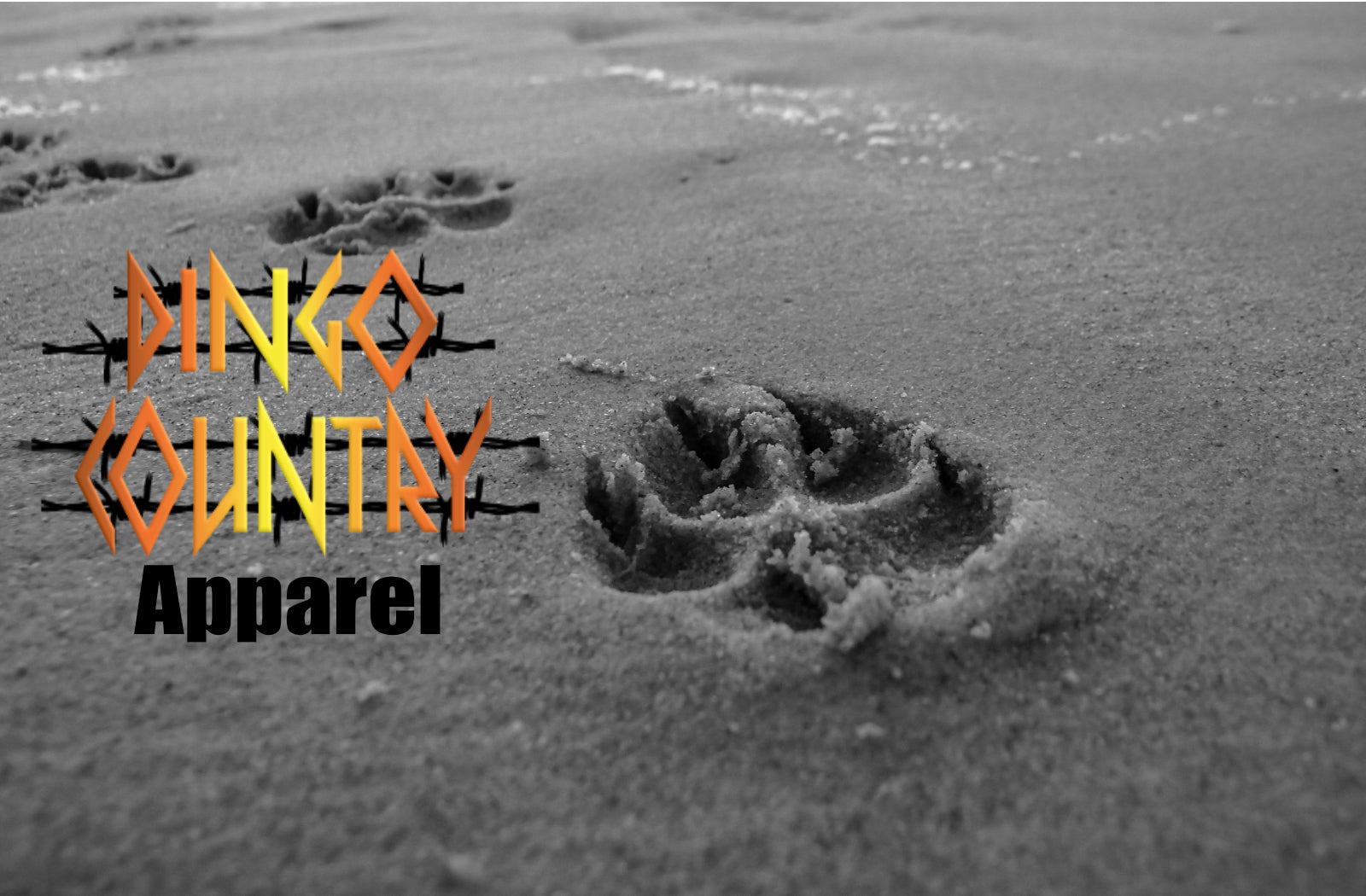 Dingo country apparel cover photo with logo and  close up of dingo footprints in the sand on a beach